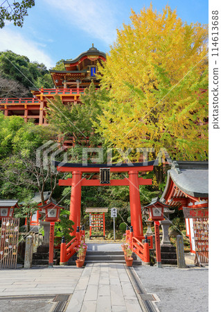 Autumn scenery at Yutoku Inari Shrine is a Shinto shrine in Kashima city at the south part of Saga Prefecture. 114613688