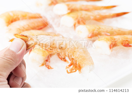 拿著冷凍蝦的一個人的手 114614213