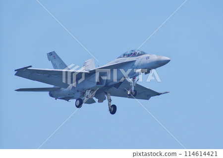F/A-18F 超級大黃蜂（VFA-102 響尾蛇）降落在岩國空軍基地 114614421