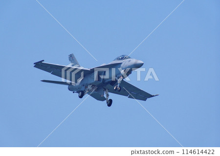 F/A-18F 超級大黃蜂(VFA-102 響尾蛇)降落在岩國空軍基地 F/A-18F 超級大黃蜂(VFA-102 響尾蛇)降落在岩國空軍基地 114614422