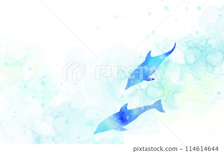 兩隻海豚的精彩插圖。利用水彩漸層的柔和觸感的框架。 114614644