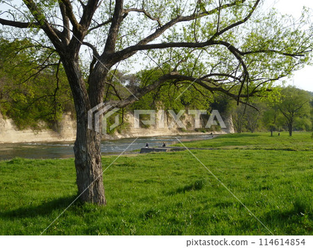 Hirose River tuff outcrops, riverbed and willow trees 114614854