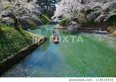 A view of cherry blossoms in full bloom and the moat, sightseeing boat, Hirosaki Castle 114614939