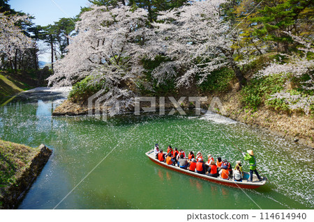 盛開的櫻花和護城河的風景、觀光船、弘前城 盛開的櫻花和護城河的風景、觀光船、弘前城 114614940