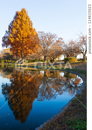 川越的秋天，小江戶 - 川越水上樂園，紅葉紛飛 114615023