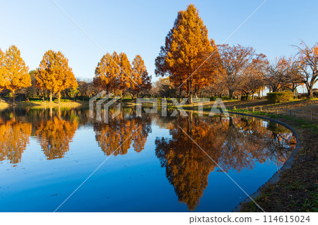 川越的秋天,小江戶 - 川越水上樂園,紅葉紛飛 川越的秋天,小江戶 - 川越水上樂園,紅葉紛飛 114615024