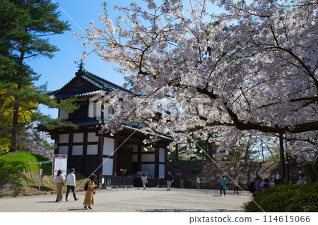 Cherry blossoms in full bloom and Ninomaru South Gate (South Inner Gate) Hirosaki Castle 114615066