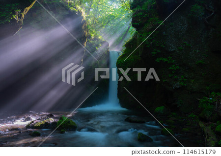 [Light beam material] Summer Tatsugaeshi Falls [Nagano Prefecture] 114615179