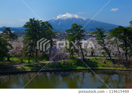 Hirosaki Castle, the landscape reflected in the lotus pond moat and Mount Iwaki, Hirosaki Cherry Blossom Festival 114615499