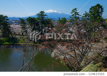 Hirosaki Castle, the landscape reflected in the lotus pond moat and Mount Iwaki, Hirosaki Cherry Blossom Festival 114615503