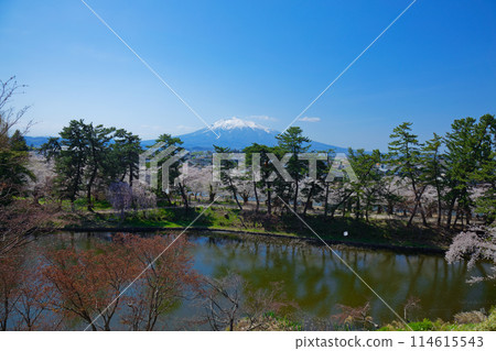 弘前城、荷塘護城河和磐城山的倒影、弘前櫻花節 弘前城、荷塘護城河和磐城山的倒影、弘前櫻花節 114615543