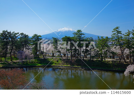 弘前城、荷塘護城河和磐城山的倒影、弘前櫻花節 114615600