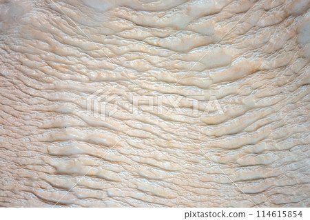 travertines in Pamukkale, Turkey. geology and mineral rock travertines in Pamukkale, Turkey. geology and mineral rock 114615854