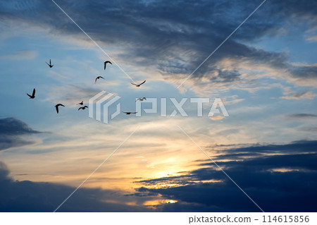 brightly colorful clouds in the evening sky. Lush colored clouds in the sky before sunset brightly colorful clouds in the evening sky. Lush colored clouds in the sky before sunset 114615856