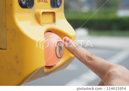 close up of crossing signal button  114615954