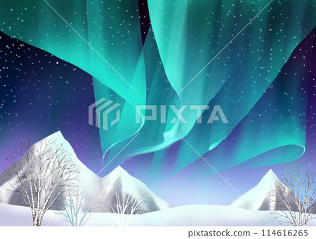 Aurora night sky and snowy land Aurora night sky and snowy land 114616265