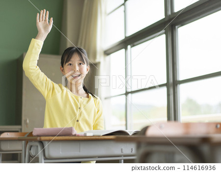 Female elementary school student studying at school Female elementary school student studying at school 114616936