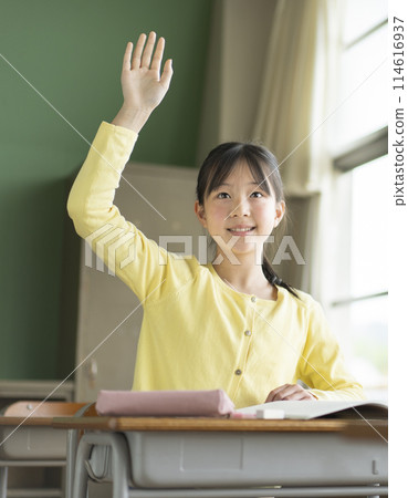 Female elementary school student studying at school 114616937