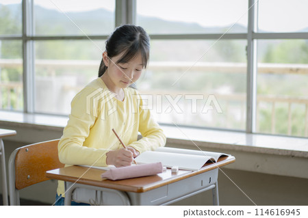 Female elementary school student studying at school Female elementary school student studying at school 114616945
