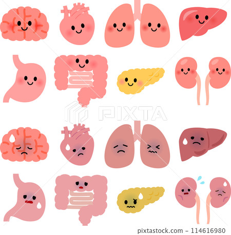 Healthy and unhealthy organ characters 114616980