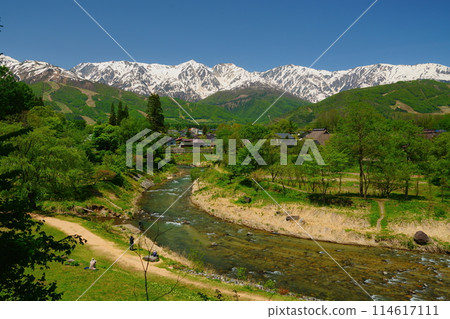 從大出公園的新綠色眺望北阿爾卑斯山脈 114617111