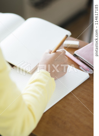 在學校學習的小學女生的手 114617185