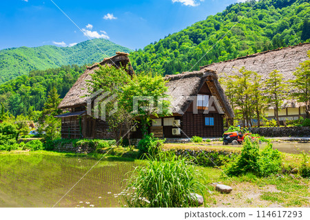 Original scenery of Japan Shirakawa-go in spring Original scenery of Japan Shirakawa-go in spring 114617293