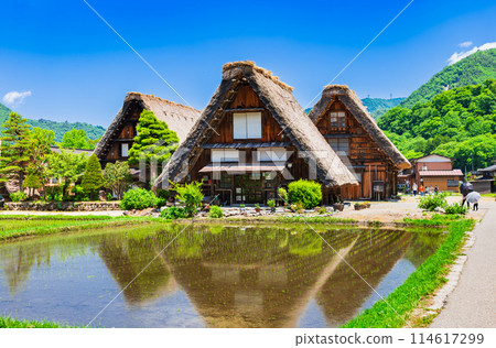 春天日本白川鄉的原始風景 114617299