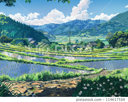 Paddy field after rice planting, rural landscape, illustration 114617589