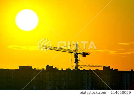 Construction cranes with built houses on the background of the sunset sky Construction cranes with built houses on the background of the sunset sky 114618009