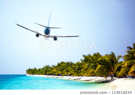 passenger plane flies over the palm trees of a tropical resort. air transport industry passenger plane flies over the palm trees of a tropical resort. air transport industry 114618034