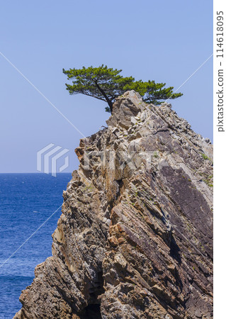 Scenery of Uradome Coast in spring Tottori Prefecture Uradome Coast 114618095