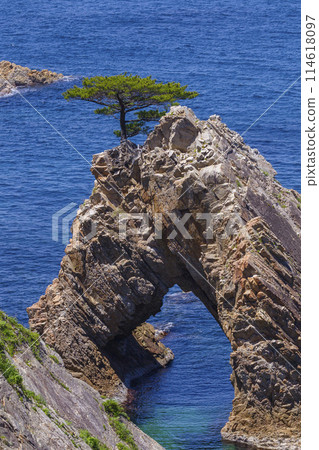 Scenery of Uradome Coast in spring Tottori Prefecture Uradome Coast 114618097