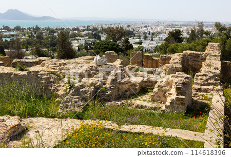 Ruins of house of Hannibal at the excavations of Carthage Ruins of house of Hannibal at the excavations of Carthage 114618396