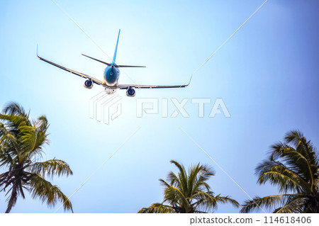 passenger plane flies over palm trees. air transport industry 114618406