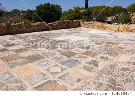 Mosaic floor of roman villas in Carthage, Tunisia 114618434