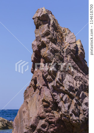 鳥取縣浦富海岸春天的風景 114618700