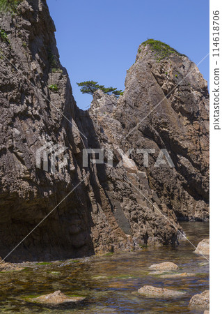 Scenery of Uradome Coast in spring Tottori Prefecture Uradome Coast 114618706
