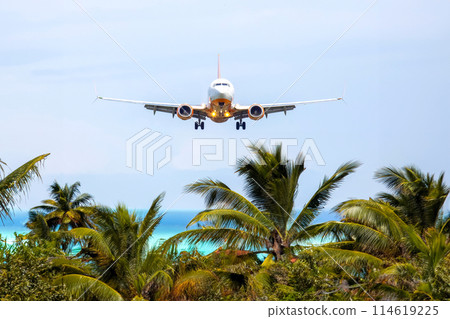 passenger plane flies over palm trees. air transport industry passenger plane flies over palm trees. air transport industry 114619225