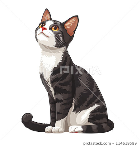 Pet Lovers and Animal Enthusiasts Looking for Cute and Fluffy Pet Lovers and Animal Enthusiasts Looking for Cute and Fluffy 114619589