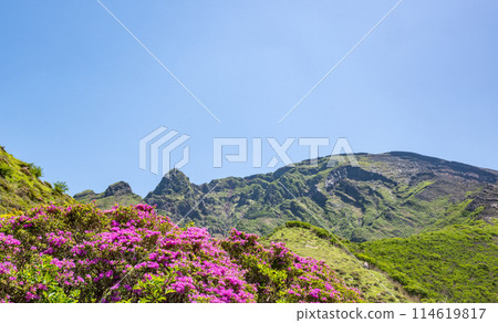Miyama Kirishima blooming in Aso Sensuikyo in fine weather Miyama Kirishima blooming in Aso Sensuikyo in fine weather 114619817