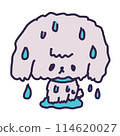 Illustration of a cute toy poodle puppy wet and dripping with water 114620027