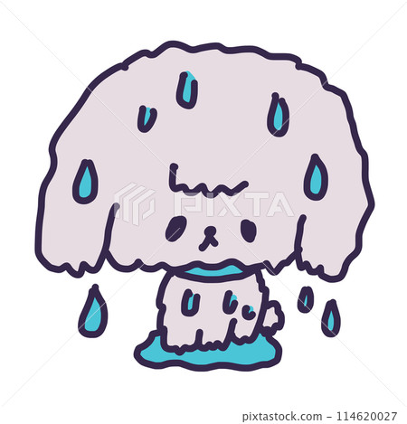 Illustration of a cute toy poodle puppy wet and dripping with water Illustration of a cute toy poodle puppy wet and dripping with water 114620027