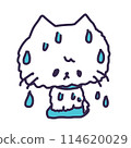 Illustration of a cute white colored kitten wet and dripping with water 114620029