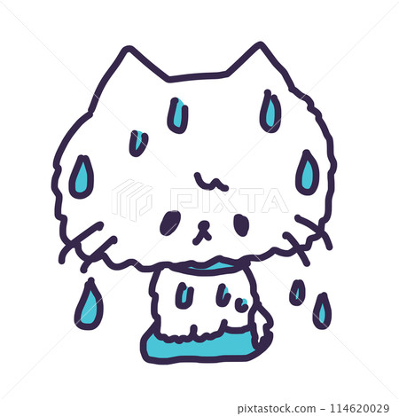 一隻可愛的白色小貓濕漉漉、滴著水的插圖 114620029