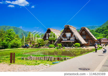 日本世界遺產白川鄉的原始風景 114620389