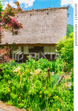 Original scenery of Japan World Heritage Shirakawa-go 114620390
