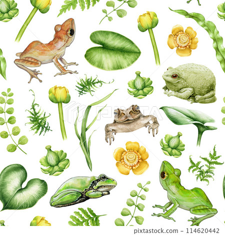 Frog, toad, pond floral natural elements seamless pattern. Watercolor illustration. Hand drawn frogs, toads, water lily flower, leaf elements. Cute amphibian seamless pattern. White background 114620442