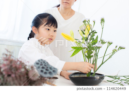 Ikebana lessons 114620449