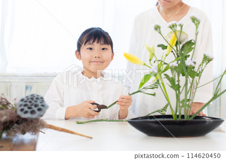 Ikebana lessons 114620450